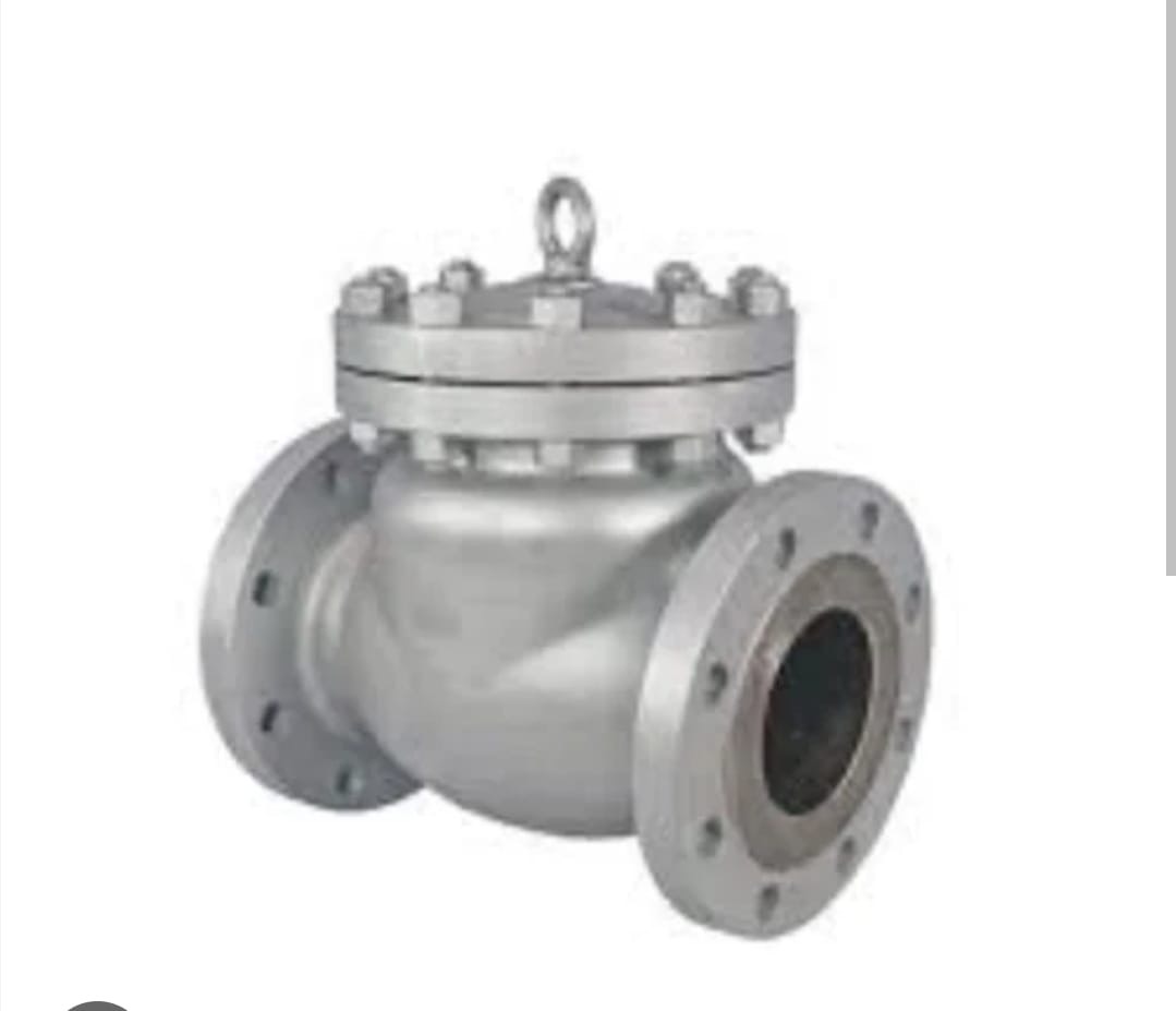IBR Check Valve – Industrial Brands supplier Bengaluru